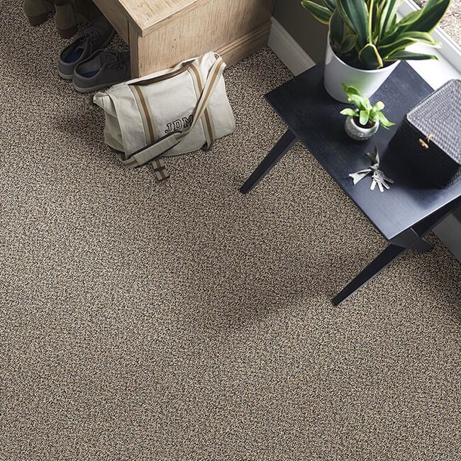Carpet | Mills Floor Covering