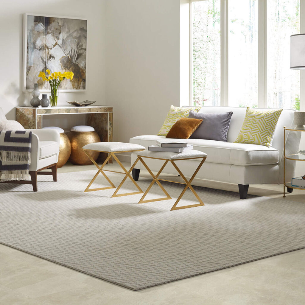 Area rug | Mills Floor Covering