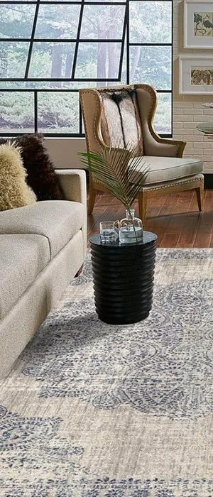 rsz_karastan-dharmamedallion-room-1 Area rug | Mills Floor Covering